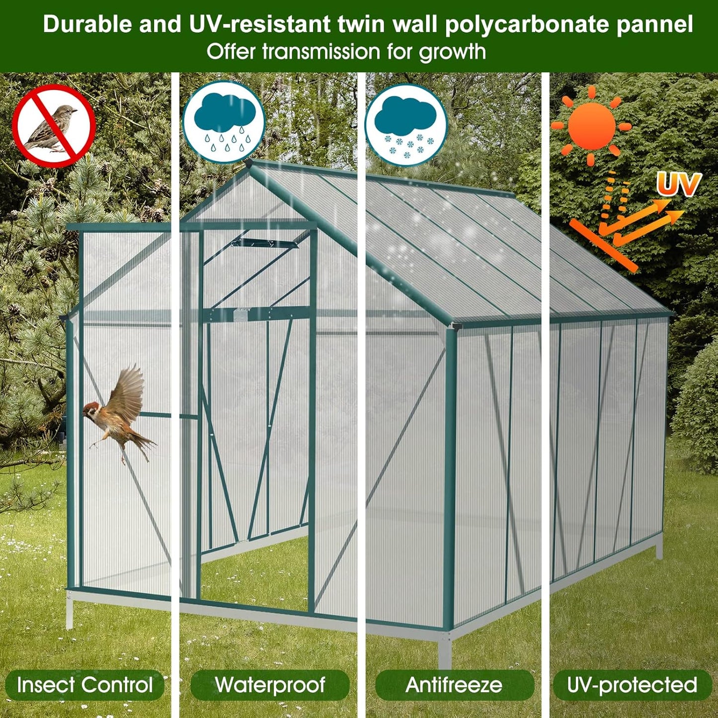 6'x10' Walk-in Greenhouse with 4mm 800G Polycarbonate Panels - Heavy-Duty Aluminum Frame, Wind/Snow Resistant for Gardening, Includes Sliding Door & Ventilation Windows (Green)