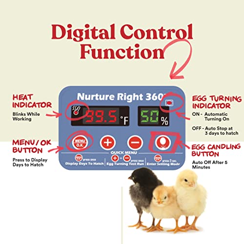 Farms Nurture Right Egg Incubator for Hatching Chicks - Holds 22 Eggs