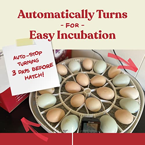 Farms Nurture Right Egg Incubator for Hatching Chicks - Holds 22 Eggs