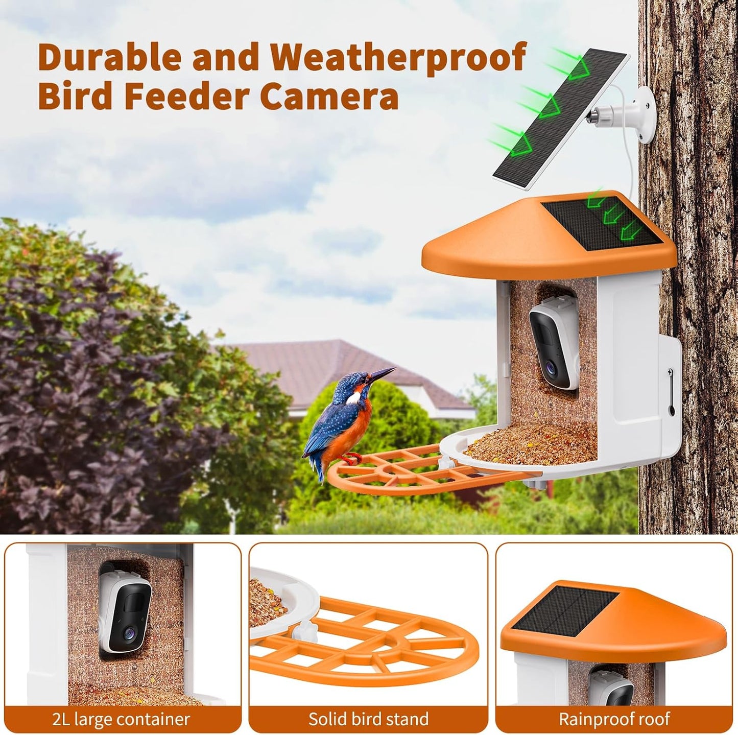 Bird Feeder with Camera with AI Identify Birds Species Solar Panel, Smart Bird House with Cam, 2K Live View, Instant Arrival Alerts