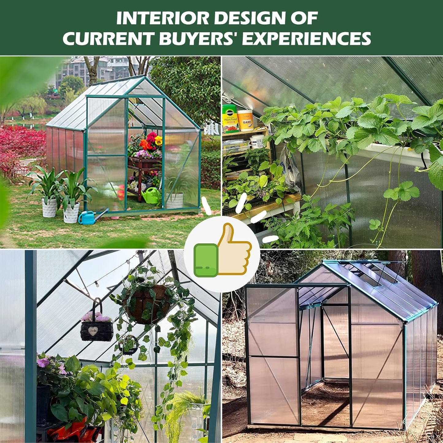 6'x10' Walk-in Greenhouse with 4mm 800G Polycarbonate Panels - Heavy-Duty Aluminum Frame, Wind/Snow Resistant for Gardening, Includes Sliding Door & Ventilation Windows (Green)