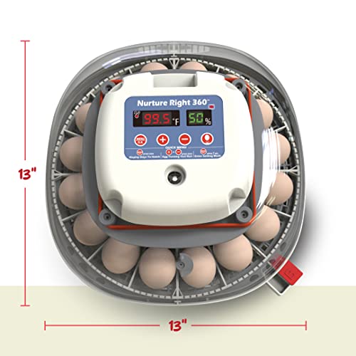 Farms Nurture Right Egg Incubator for Hatching Chicks - Holds 22 Eggs