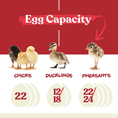 Farms Nurture Right Egg Incubator for Hatching Chicks - Holds 22 Eggs