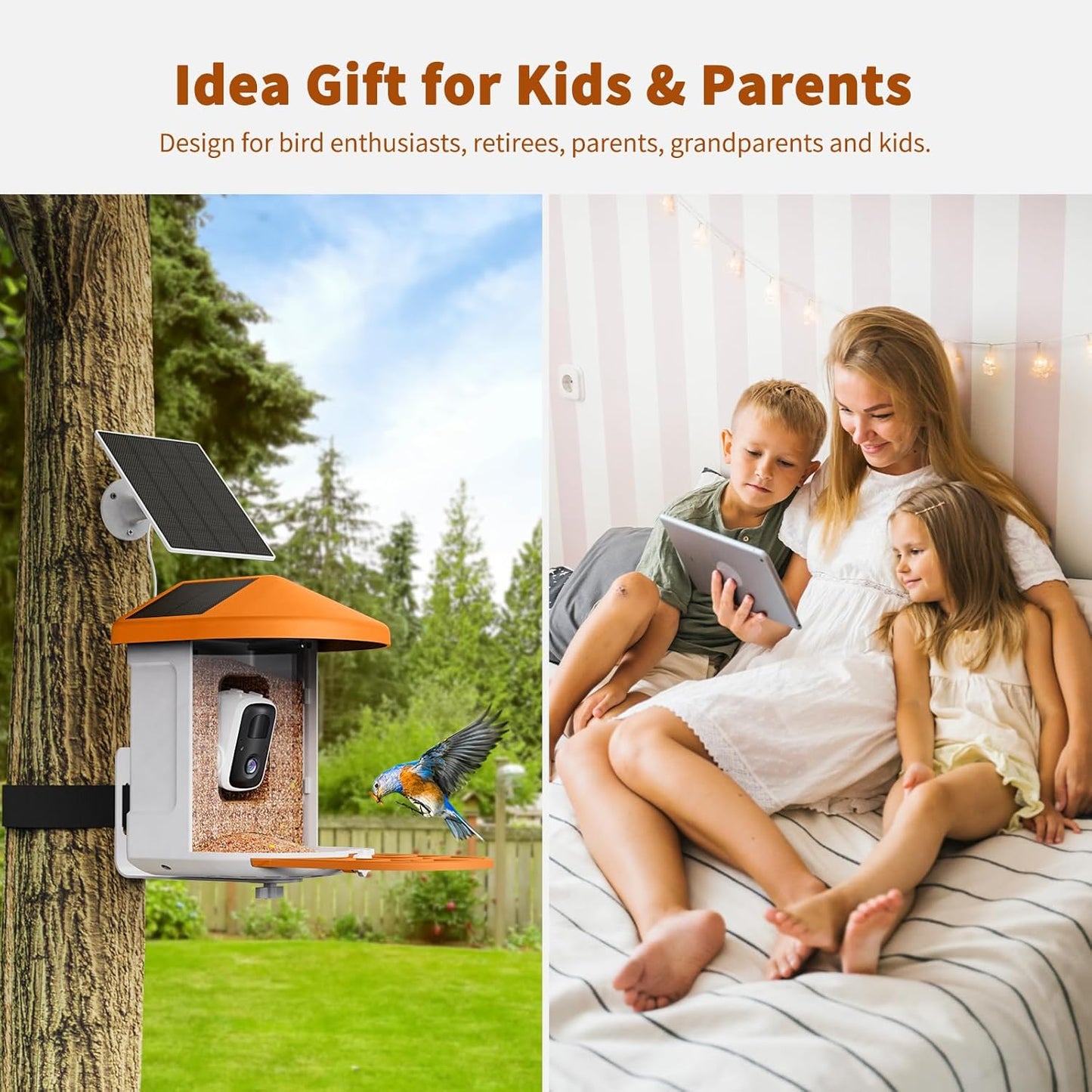 Bird Feeder with Camera with AI Identify Birds Species Solar Panel, Smart Bird House with Cam, 2K Live View, Instant Arrival Alerts