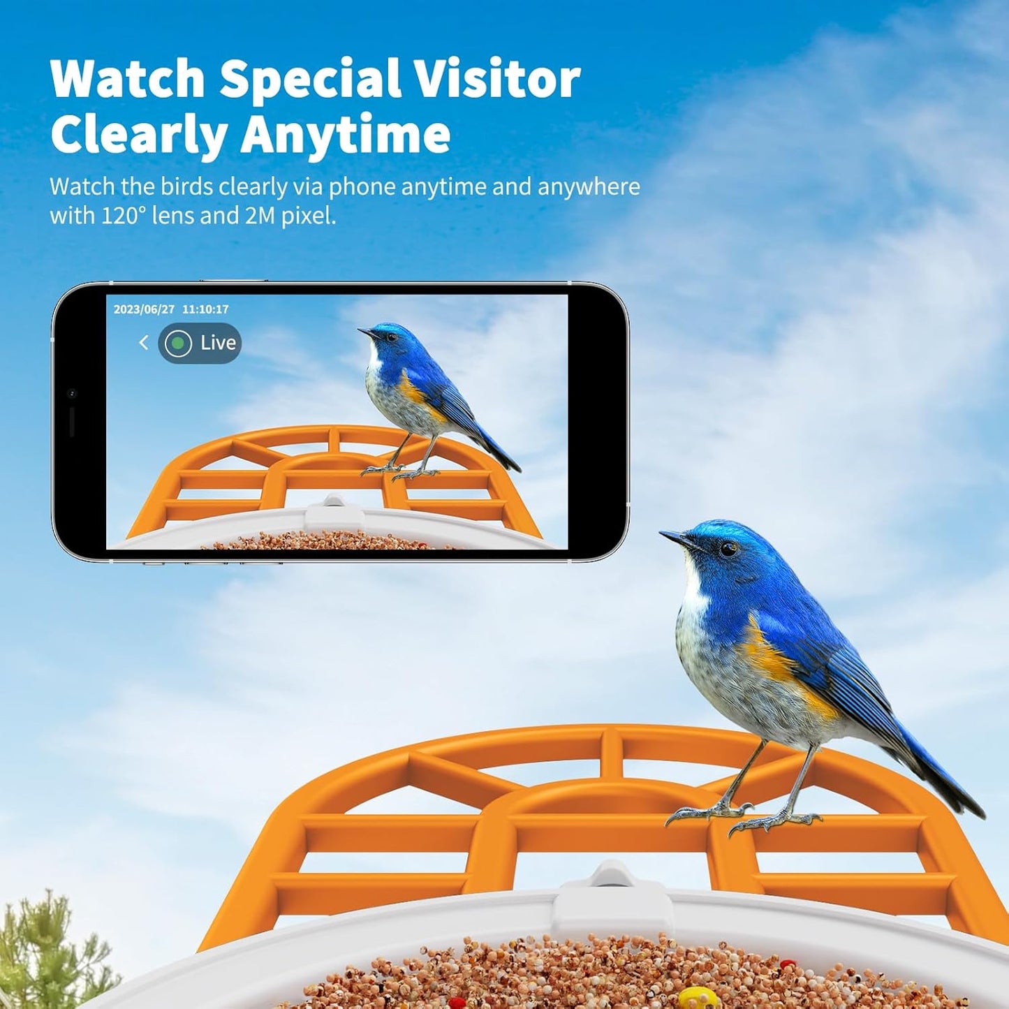 Bird Feeder with Camera with AI Identify Birds Species Solar Panel, Smart Bird House with Cam, 2K Live View, Instant Arrival Alerts